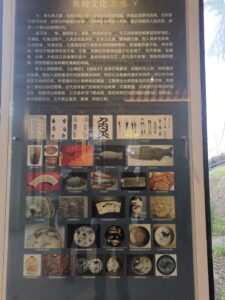 鱼文化