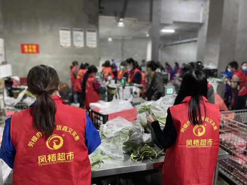 凤梧3 1