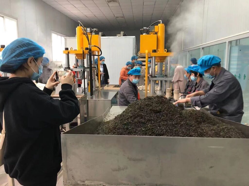 制茶