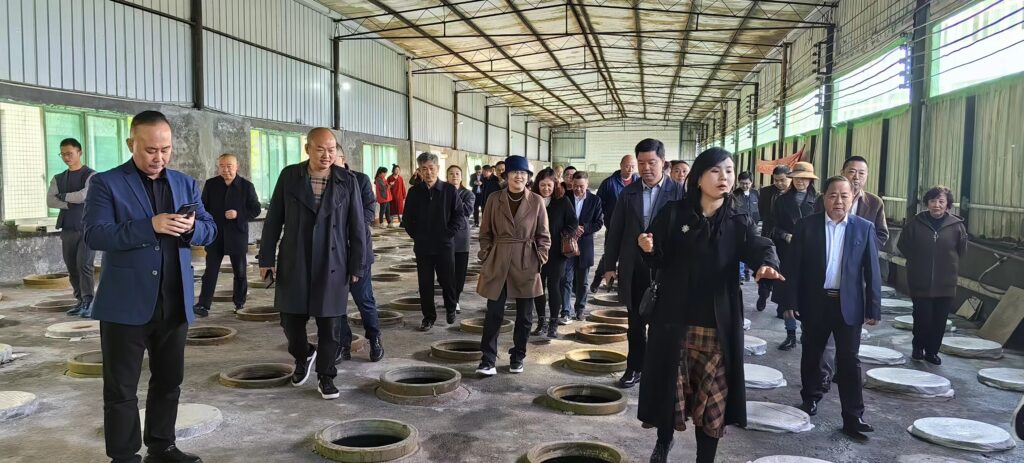 地缸