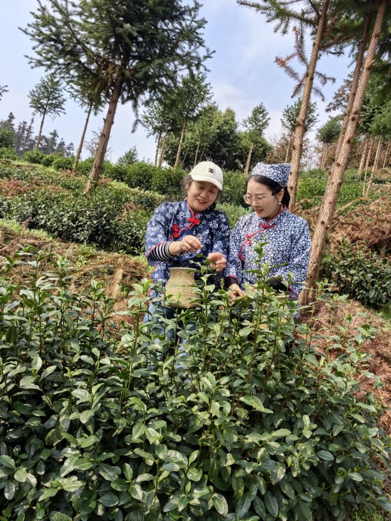 黄花园
